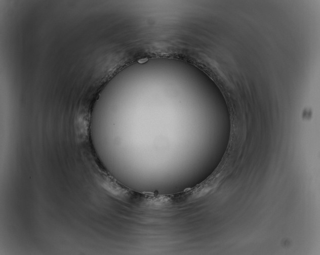 X0000100470576200806201609