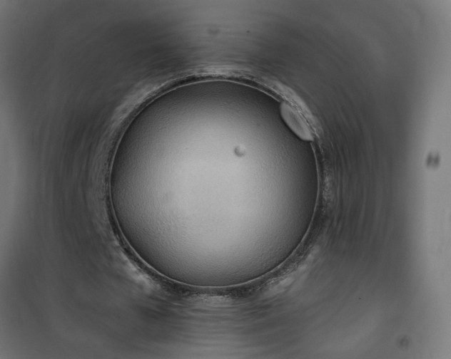 X0000100470577200806201608