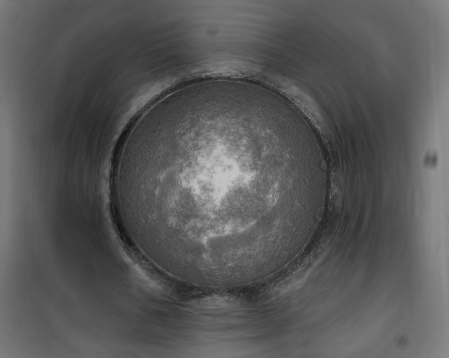 X0000100470578200806201608