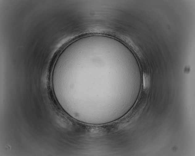 X0000100470579200806201608