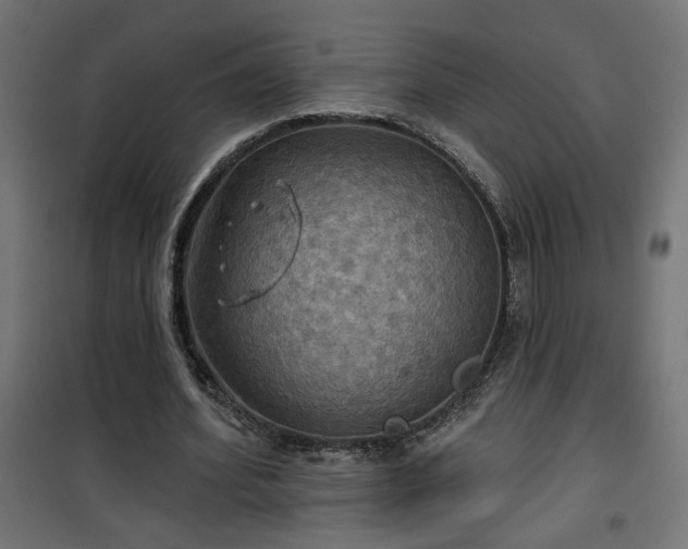 X0000100470580200806201608