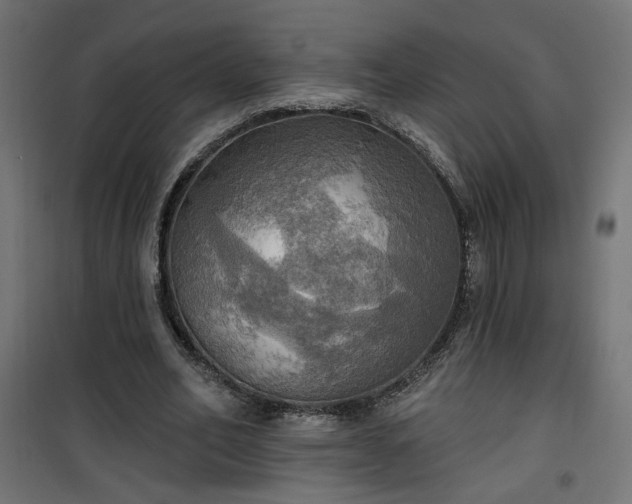 X0000100470582200806201608