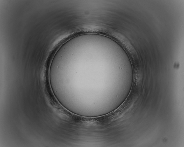 X0000100470583200806201608