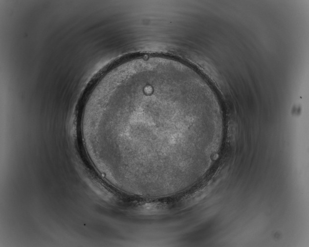 X0000100470584200806201608