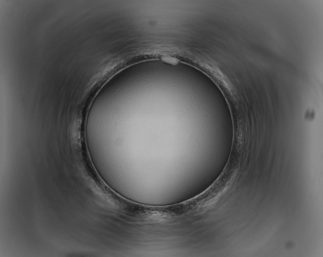 X0000100470585200806201608