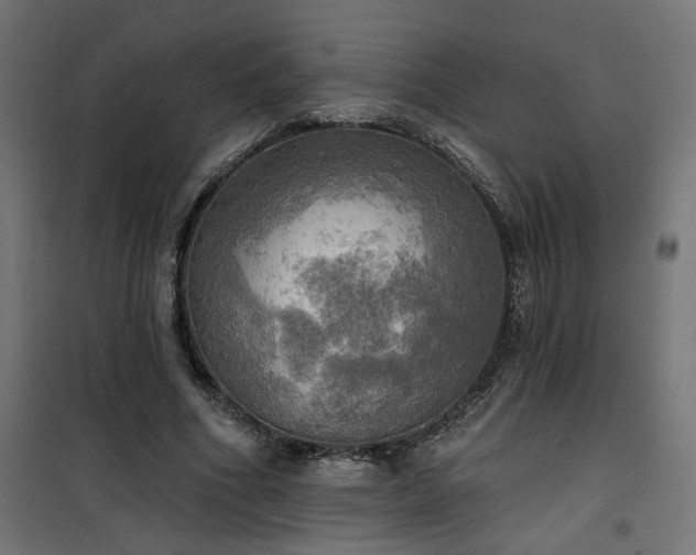 X0000100470586200806201608