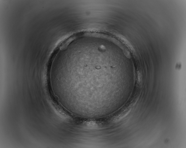 X0000100470588200806201608