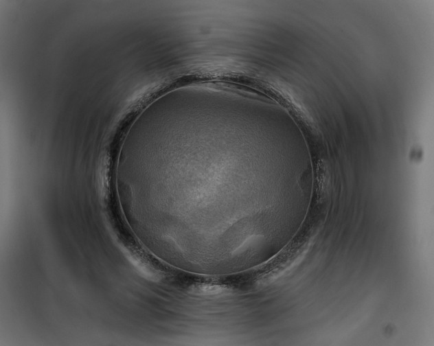 X0000100470590200806201608