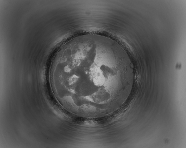 X0000100470591200806201608