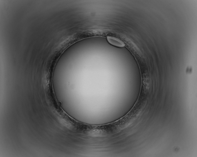 X0000100470593200806201608