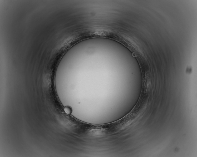 X0000100470595200806201608