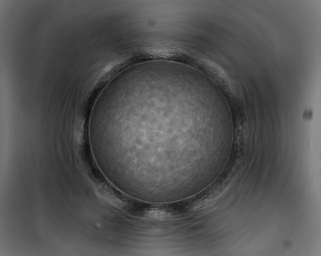 X0000100470596200806201608