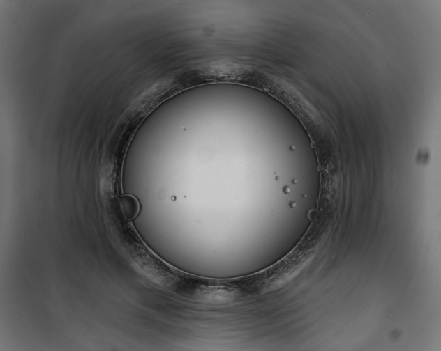 X0000100470597200806201608