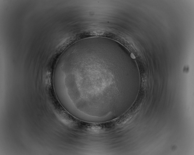 X0000100470598200806201608