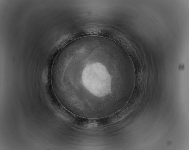 X0000100470600200806201608