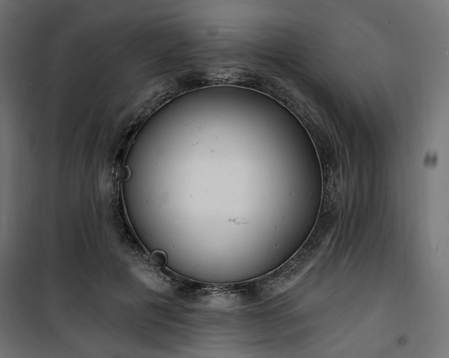 X0000100470601200806201608