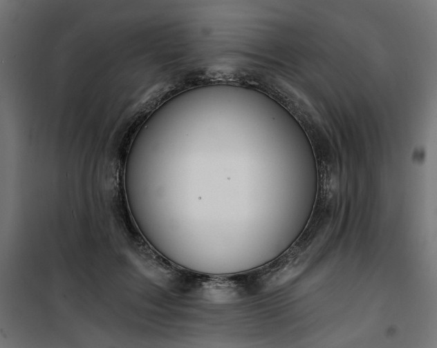 X0000100470603200806201608