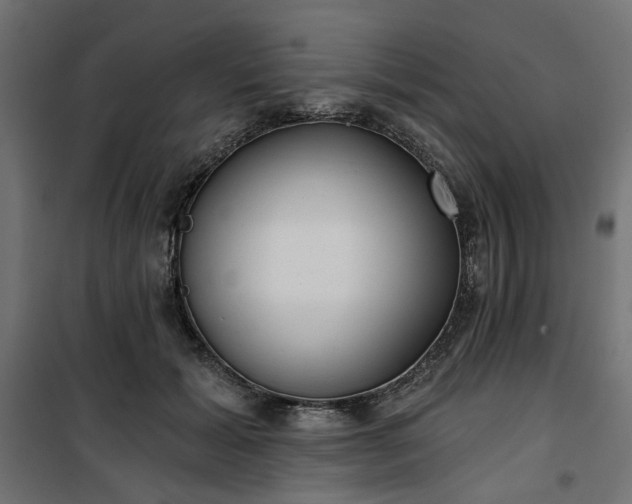 X0000100470605200806201608