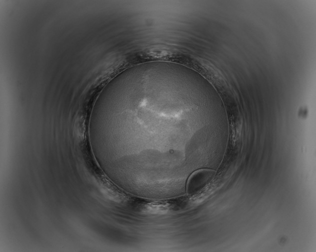 X0000100470606200806201608