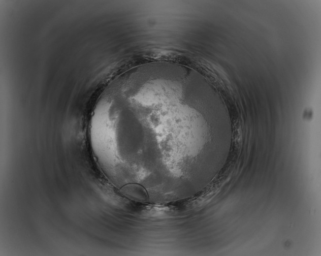 X0000100470607200806201608