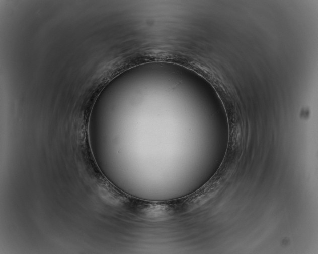 X0000100470609200806201608