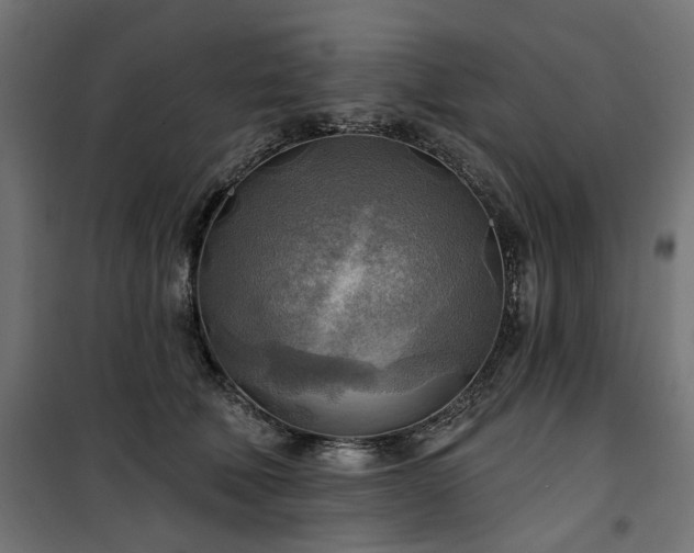 X0000100470610200806201608