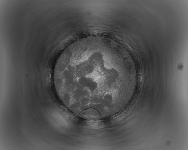 X0000100470615200806201608