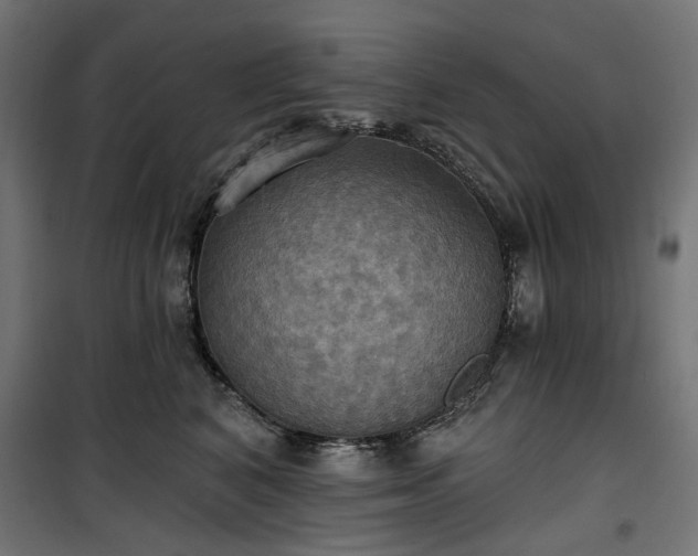 X0000100470616200806201608