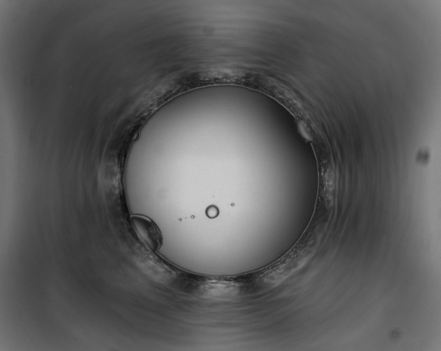 X0000100470617200806201608