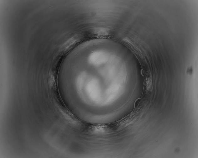 X0000100470618200806201608