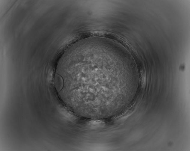 X0000100470619200806201608