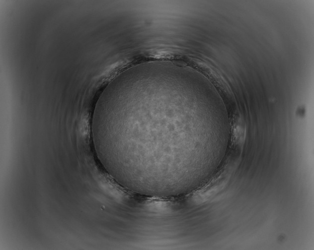 X0000100470620200806201608