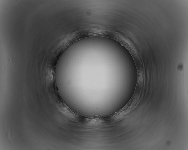 X0000100470621200806201608