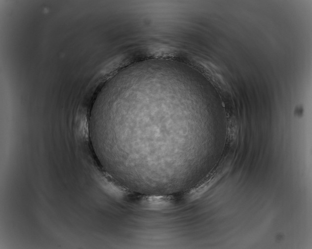 X0000100470622200806201608