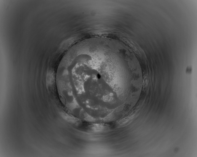 X0000100470623200806201608