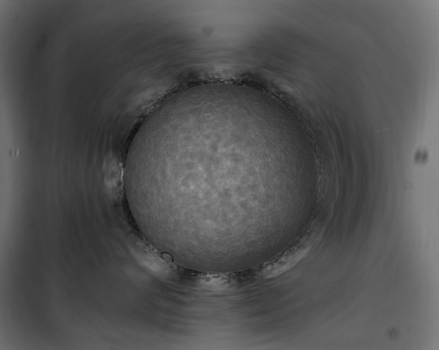 X0000100470624200806201608