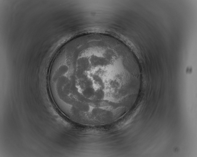 X0000100470625200806201607