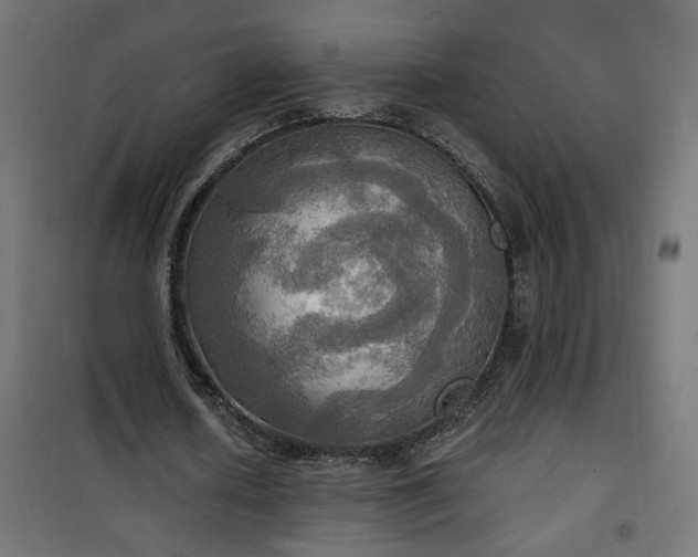 X0000100470626200806201607