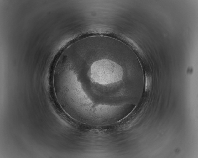 X0000100470627200806201607