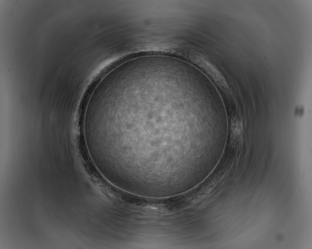 X0000100470628200806201607