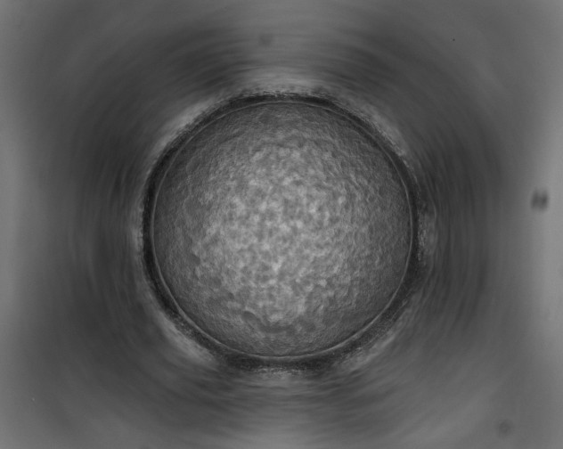 X0000100470629200806201607