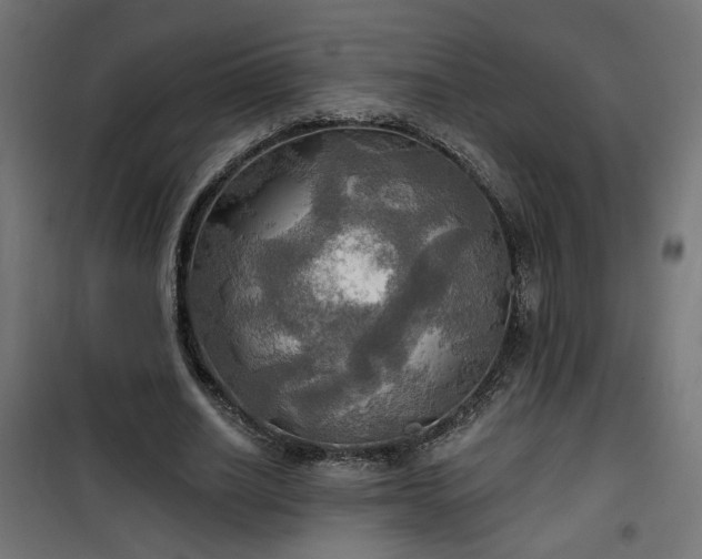 X0000100470630200806201607