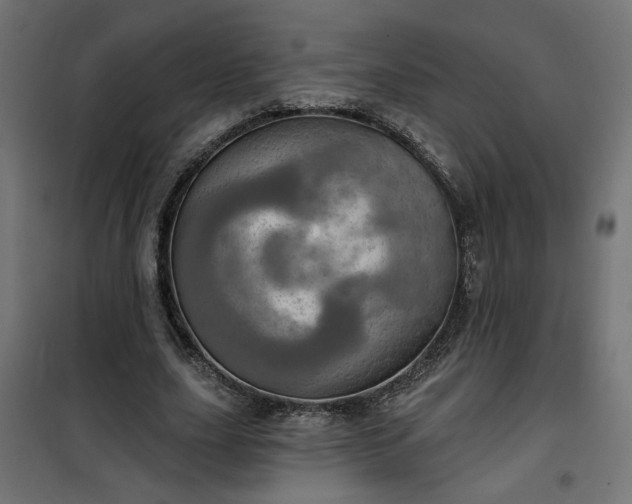 X0000100470631200806201607