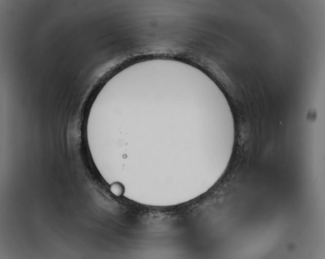 X0000100470632200806201607