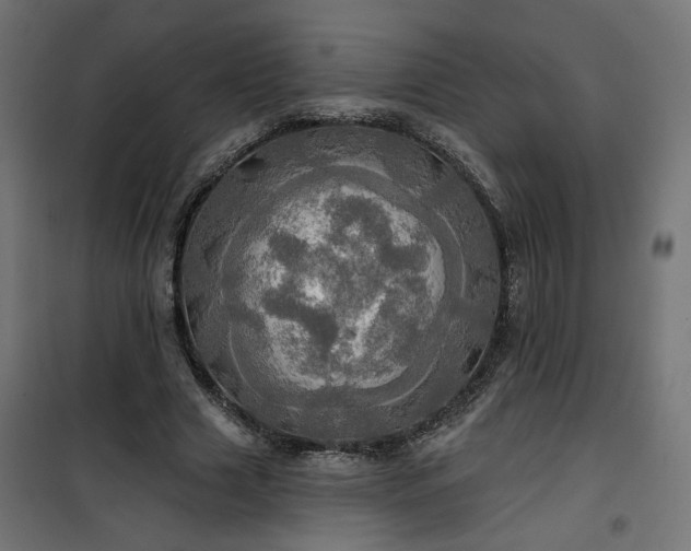 X0000100470633200806201607