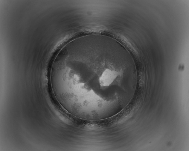 X0000100470634200806201607