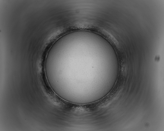 X0000100470635200806201607