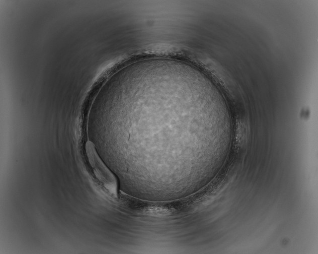 X0000100470636200806201607