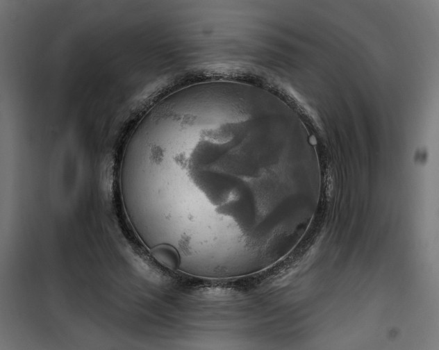 X0000100470637200806201607