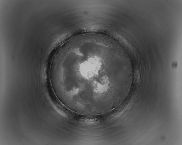 X0000100470638200806201607